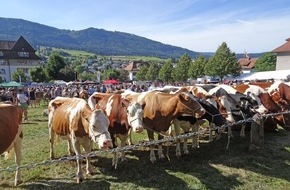 Schweizer Tierschutz STS: Communiqué de presse: Expositions d’animaux - nécessité d’amélioration importante selon la Protection Suisse des Animaux PSA