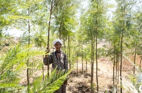 Stiftung Menschen für Menschen Schweiz: Aufforstungen in Äthiopien: Eine Million Bäume gegen Armut