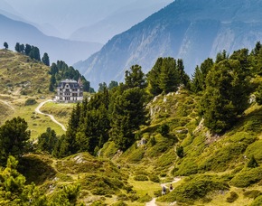 Story-Idee: Verwertbarer Wald - Ein Streifzug durch Bergwälder am Aletschgletscher - Rezepte inklusive!