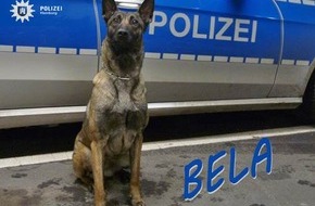 Polizei Hamburg: POL-HH: 210808-2. Einsatz zur Bekämpfung der Drogenkriminalität - Task-Force nimmt mutmaßliche Rauschgifthändler in Hamburg-St. Pauli fest
