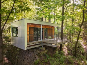 Shinrin Yoku: Darum wird der Wald zum neuen Anti-Stress-Hotspot