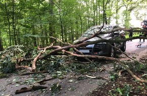 Polizei Steinfurt: POL-ST: Saerbeck, 47-jährige Autofahrerin konnte schwere Kollision mit stürzendem Baum gerade noch verhindern