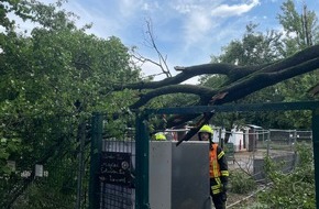 Kreisfeuerwehrverband Main-Taunus e.V.: Feuerwehr MTK: Unwetterlage fordert Feuerwehren in Hattersheim am Main - 18 Einsatzstellen in rund vier Stunden