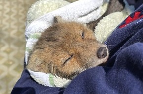 Feuerwehr Stuttgart: FW Stuttgart: Fuchs-Rettung in Stuttgart-Hohenheim
