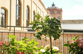 Industrieverband Agrar e.V. (IVA): Obstbäume im Kübel: So klappt es mit der eigenen Ernte auf Balkon und Terrasse
