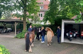 Polizei Steinfurt: POL-ST: Pferde im Hof der Polizeiwache Emsdetten
