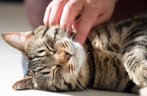 Bundesverband f&uuml;r Tiergesundheit e.V.: Mensch und Tier: ziemlich beste Freunde, nicht nur zu Weihnachten
