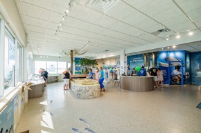 Mote Marine Zentrum auf Anna Maria Island vermittelt Wissen über das Leben unter Wasser