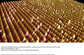 Schweizerischer Nationalfonds / Fonds national suisse: SNF: Bild des Monats Mai 2007: Die Grundlagenforschung dringt weiter in die Welt der Nanostrukturen ein