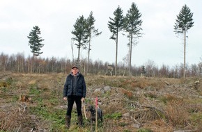 WeberHaus GmbH & Co. KG: PM: WeberHaus unterstützt Aufforstung mit 16.000 Euro