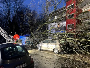 FW-BO: Winterunwetter Zoltan in Bochum: UMGESTÜRZTE BÄUME AUF AUTOS UND HÄUSER, STARKER REGEN UND GEWITTER
