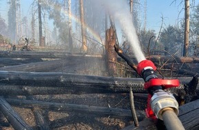 Feuerwehren im Kreis Soest: FW Kreis Soest: Zweite Folgemeldung zum Waldbrand in Möhnesee: Brand unter Kontrolle - Löscharbeiten dauern an