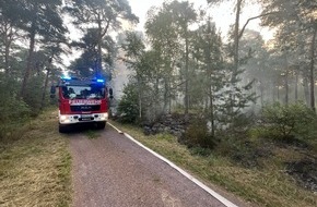 Polizeidirektion Neustadt/Weinstraße: POL-PDNW: Polizeiinspektion Haßloch - Brandentwicklung in einem südlichen Waldstück von Haßloch