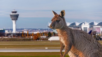 BR Bayerischer Rundfunk: "Animal Takeoff": BR-Dokuserie erz&auml;hlt Tiergeschichten rund um den M&uuml;nchner Flughafen