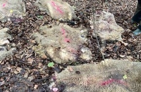 Polizeipräsidium Südosthessen: POL-OF: Unfallflucht: Schwerverletzte Radfahrerin - Wer sah den Zusammenstoß?; Schafsfelle im Wald entsorgt - Kripo ermittelt; Feuer an Wohn- und Geschäftsgebäude und mehr