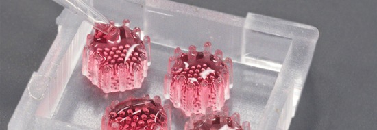 Helmholtz Zentrum München: Bauchspeicheldrüsen-Organoide auf neu entwickelter Chip-Plattform
