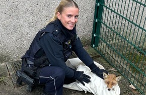 Polizei Bochum: POL-BO: Wieder tierisch...eine Geschichte mit Humor