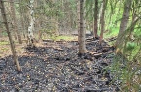 Freiwillige Feuerwehr Gemeinde Schiffdorf: FFW Schiffdorf: Aufwendige Löscharbeiten: Aufmerksame Spaziergänger bemerken Brand im Spadener Moor