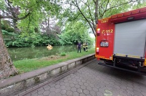 Feuerwehr Detmold: FW-DT: Detmolder Schlossgraben: Todesfall eines Schwanenkükens - Wildtiere nicht füttern!