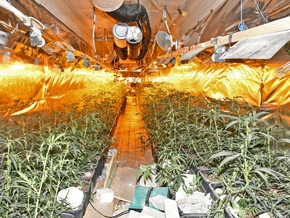 POL-ME: Nachtragsmeldung: Cannabis-Großplantage entdeckt - Mettmann - 2105007