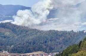 Albert-Ludwigs-Universit&auml;t Freiburg: Landschaftsbr&auml;nde: Neues Positionspapier empfiehlt Integriertes Feuermanagement und eine nationale Konferenz
