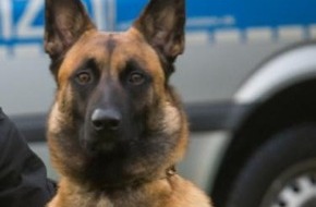 Polizeidirektion Lübeck: POL-HL: OH-Stockelsdorf / Diensthund "Willem" spürt flüchtigen Unfallfahrer auf