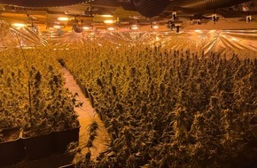 Polizeipr&auml;sidium Rostock: POL-HRO: 800 Cannabis-Pflanzen bei Boizenburg: Gemeinsame Pressemitteilung des Polizeipr&auml;sidiums Rostock und der Staatsanwaltschaft Schwerin