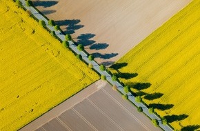 GEA Group Aktiengesellschaft: Edible oils: GEA launches enzymatically enhanced GEA eTOP Degumming solution
