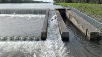 Rhinaissance: Ein europäisches Projekt für die Wiederbelebung des Rheins^