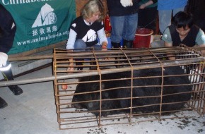 AAF Animals Asia Foundation e.V.: Animals Asia Foundation rettet 28 Mondbären in China