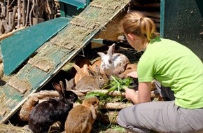 Schweizer Tierschutz STS: Neues vom Häslihof Abtwil