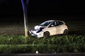 Polizei Düren: POL-DN: Pkw prallt gegen Baum