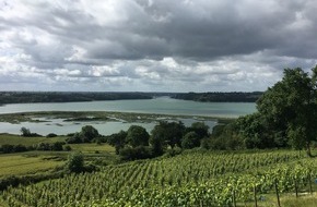 L'AGENTOUR: Die Bretagne, die Newcomerin unter den Weindestinationen