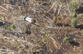 Feuerwehren im Kreis Soest: FW Kreis Soest: Vierte Folgemeldung zum Waldbrand am Möhnesee