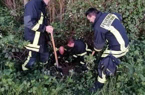 Feuerwehr Dortmund: FW-DO: Ein Hund wurde aus einem Dachsbau gerettet