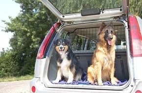 R+V Infocenter: R+V: Hundeelend - überhitzte Autos sind eine Qual für Vierbeiner