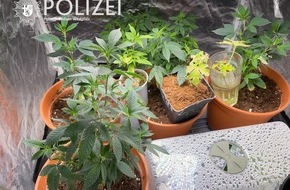 Polizeipräsidium Westpfalz: POL-PPWP: Drogen sichergestellt