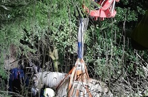 Freiwillige Feuerwehr Lage: FW Lage: Pferd aus Bachlauf gerettet - aufwändiger Tierrettungseinsatz in Oetternbach