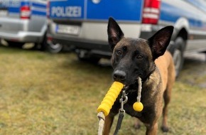 Polizei Minden-Lübbecke: POL-MI: Polizeihündin Tara spürt hilflose Seniorin (80) auf