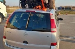 Bundespolizeiinspektion Berggießhübel: BPOLI BHL: Tierschmuggel verhindert