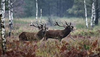 NDR Norddeutscher Rundfunk: Start des Naturfilmkinos in der "Botschaft der Wildtiere" in Hamburg - einmal im Monat mit NDR Produktionen