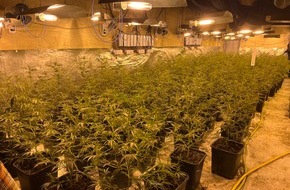 Polizei Bielefeld: POL-BI: Polizei deckt Cannabis-Plantage und illegales Gl&uuml;ckspiel auf