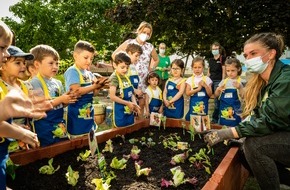 EDEKA ZENTRALE Stiftung & Co. KG: EDEKA Stiftung stärkt Ernährungskompetenz von Kindern / Mit Abstand lernen: Gemüsebeete für Kids startet wieder