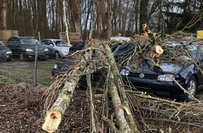 Polizei Minden-Lübbecke: POL-MI: Sturmtief Ylenia hält Einsatzkräfte auf Trab