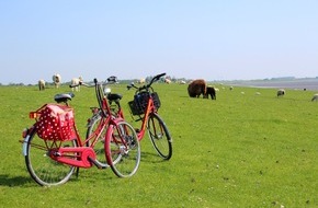 Tourismus-Agentur Schleswig-Holstein GmbH: Auf zwei Rädern durch den Frühling