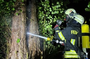 Freiwillige Feuerwehr Aurich: FW-AUR: Blitzeinschlag in Baumstamm