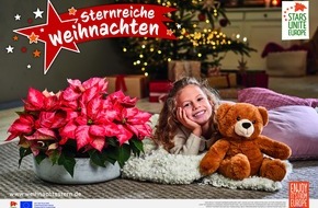 Stars for Europe GbR: EU-Kampagne „Sterne verbinden Europa“: Jetzt kostenlose Weihnachtsstern-Werbemittel für die Saison 2022 sichern