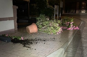 Polizeidirektion Landau: POL-PDLD: St. Martin - Vandalismus im Ortskern - Polizei sucht Zeugen