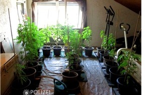 Polizeipräsidium Westpfalz: POL-PPWP: Polizei findet Cannabispflanzen