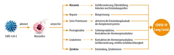 Dr. Jacobs Institut: Die Ursachen des Post-Covid-Syndroms - Corona-Langzeitfolgen ursächlich behandeln / Wie persistierende Viren, Autoimmunentzündungen und Mastzellaktivierung zu Long Covid führen